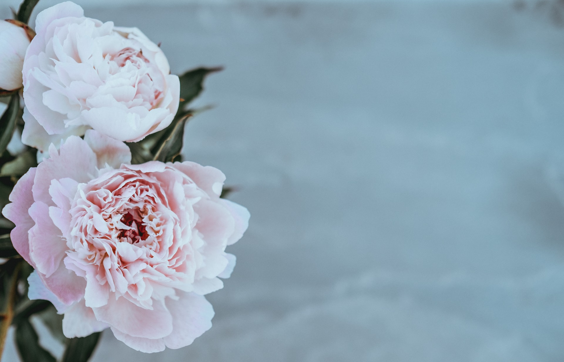 Spring Wedding Décor Ideas